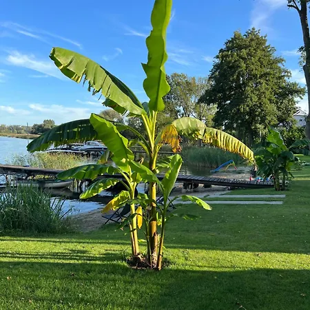 Bananahouse * Kruszwin