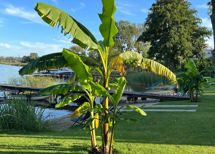 Bananahouse * Kruszwin